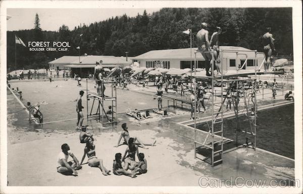 Forest Pool Boulder Creek CA Postcard