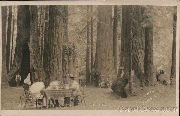 A Woman Sitting at a Table in the Forest Santa Cruz California