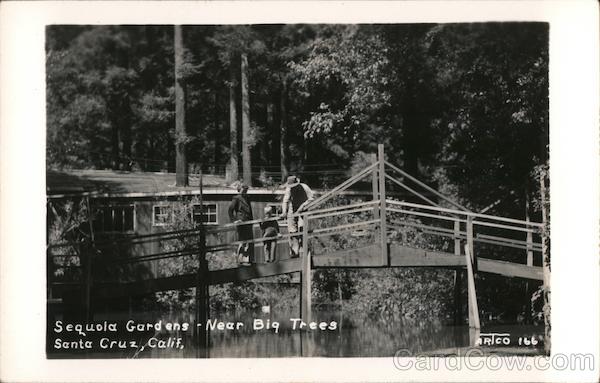 Sequoia Gardens - Near Big Trees Felton California