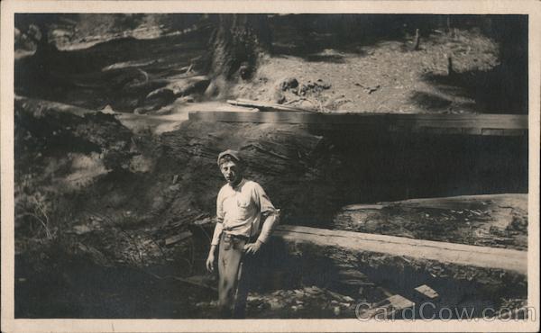 A Man Standing in a Clearing with Trees Behind Him Big Basin California