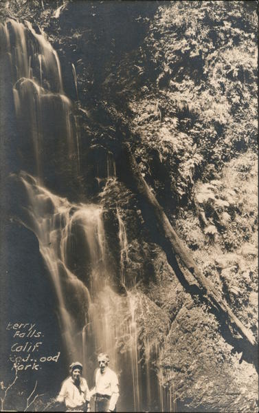 Terry Falls, Redwood Park Felton California