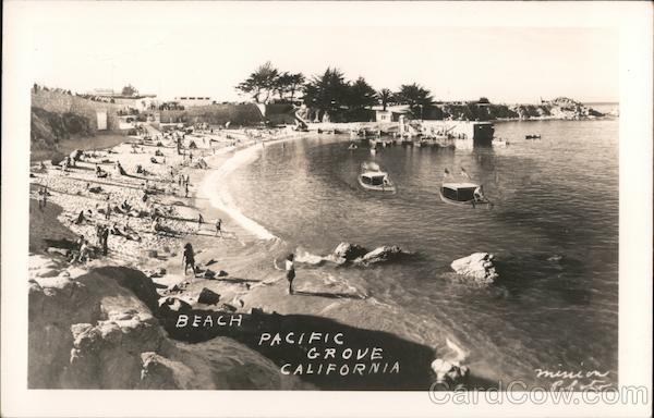 Beach Pacific Grove California