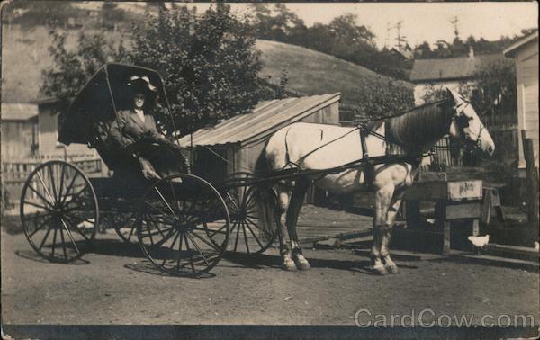 Woman in horse drawn Buggy Petaluma California