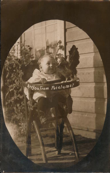 Are You From Petaluma? Baby in High Chair With Chicken California