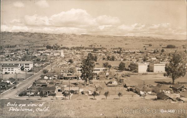 Birds Eye View Petaluma California