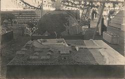 Apple Show Display "Made of Apples" Postcard