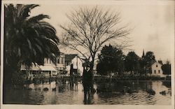 A Man Standing in Flood Waters Postcard