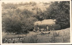 The Old Swimming Hole at Sycamore Grove Santa Cruz, CA Postcard Postcard Postcard