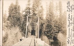 Railroad Bridge Postcard