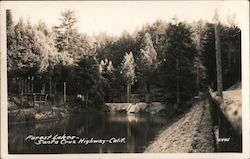 Forest Lakes Postcard