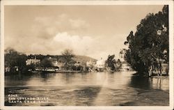 San Lorenzo River Postcard