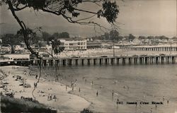 Santa Cruz Beach & Pier California Postcard Postcard Postcard