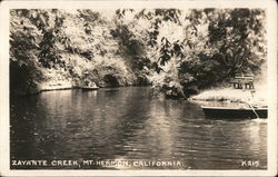 Zayante Creek Postcard