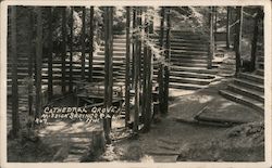 Cathedral Grove,Mission Springs Camp Postcard
