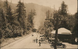 Train Arriving at Brookdale Station Postcard