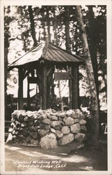 Famous Wishing Well, Brookdale Lodge Postcard