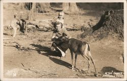 Woman and Girl Feeding Deer Postcard