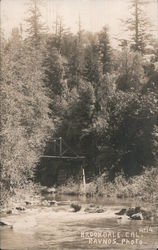 Bridge over River Postcard