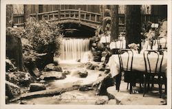 Brookdale Lodge Dining Room Postcard