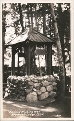 Famous Wishing Well - Brookdale Lodge California Postcard Postcard Postcard