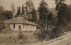 Fish Hatchery Brookdale, CA Postcard Postcard Postcard