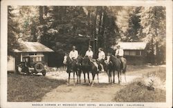 Saddle Horses at Redwood Rest Hotel Boulder Creek, CA Postcard Postcard Postcard