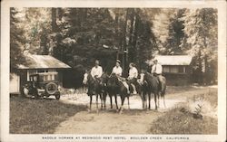 Saddle Horses at Redwood Rest Hotel Postcard