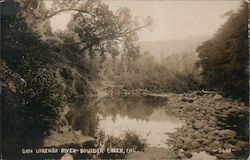 San Lorenzo River Postcard