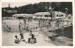 Forest Pool Postcard
