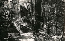 A Wooded Trail, Evans Rest Postcard