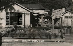 Antique Shop Boulder Creek, CA Postcard Postcard Postcard