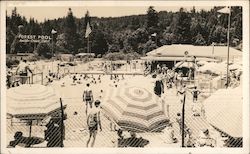 Forest Pool Boulder Creek, CA Postcard Postcard Postcard