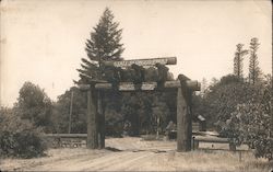 State Redwood Park Big Basin, CA Postcard Postcard Postcard