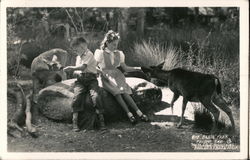 Big Basin Farm Feeding Time, Santa Cruz Mountains Boulder Creek, CA Postcard Postcard Postcard