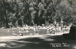 Swimming Pool Postcard