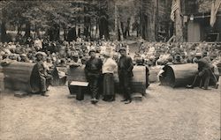 An Outdoor Theater Full of People, Redwood Park Big Basin, CA Postcard Postcard Postcard