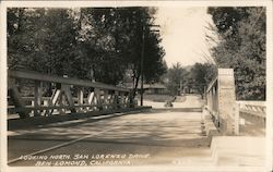 Looking North, San Lorenzo Drive Postcard