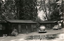 Typical Hotel Cottage - Big Sur Lodge California Postcard Postcard Postcard