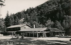 Big Sur Lodge California Postcard Postcard Postcard