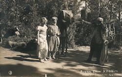 Scene From Alladin Forest Theatre Postcard