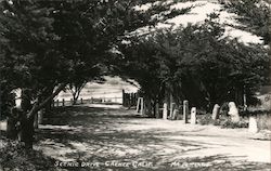 Scenic Drive Postcard