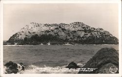 Seals and Sea Lions on "Bird Rock" on the 17 Mile Drive Postcard