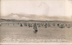 Salmon Fishing Fleet Postcard