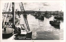 Monterey Fishing Fleet California Postcard Postcard Postcard