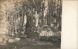 Family Camping in Woods Postcard