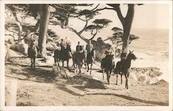 Horseback Riding Cypress Trees Postcard