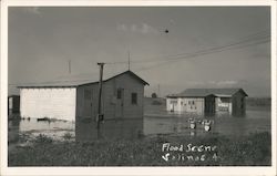 Flood Scene 4 Postcard