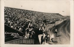 California Rodeo, Monterey Co. Postcard