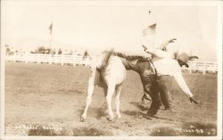 Rider Gets Thrown from a Horse - California Rodeo Postcard