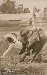 Cowboy Thrown from Bucking Bronco, California Rodeo Postcard